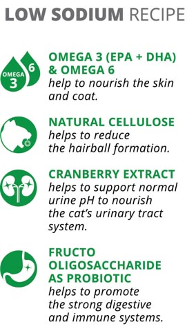 catflex adult cat food selling points