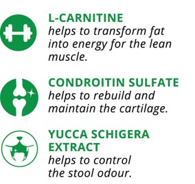 catflex adult cat food selling points